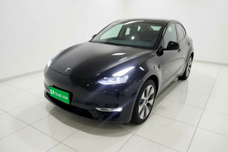 特斯拉 Model Y 2021款 标准续航后驱版