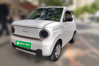 吉利银河 2023款 熊猫mini 200km 耐力熊