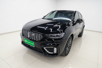 魏牌 VV5 2021款 1.5T 两驱智先锋