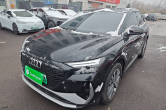 奥迪Q4 e-tron 2024款 40 e-tron 创行版