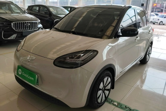 五菱汽车 五菱缤果 2024款 333km 悦享款
