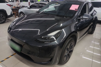 特斯拉 Model Y 2024款 后轮驱动版