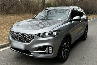 魏牌 VV6 2021款 2.0T 两驱智享+