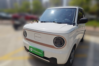 吉利银河 2024款 熊猫mini 200km 耐力熊