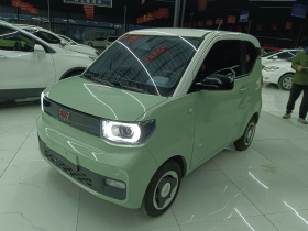 五菱汽车 宏光MINIEV 2021款 马卡龙时尚款 磷酸铁锂