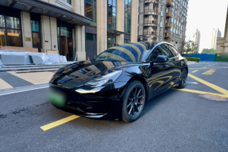 特斯拉 Model 3 2021款 标准续航后驱升级版