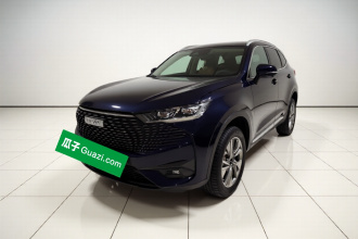 哈弗H6新能源 2023款 DHT-PHEV 110KM 畅行版