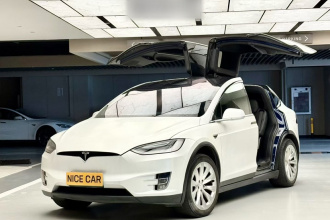 特斯拉 Model X 2020款 长续航升级版
