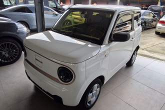 吉利银河 2023款 熊猫mini 200km 耐力熊
