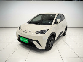 比亚迪 海鸥 2025款 305km 活力版