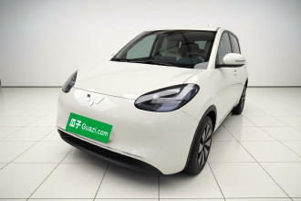 五菱汽车 五菱缤果 2023款 203km 舒享款