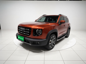 哈弗大狗 2021款 1.5T DCT两驱边牧版