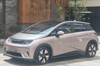 比亚迪 海豚 2023款 401km 骑士版