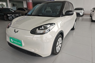 五菱汽车 五菱缤果 2023款 333km 快享款