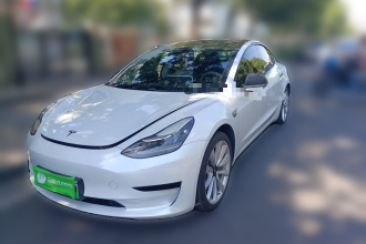 特斯拉 Model 3 2019款 标准续航后驱升级版