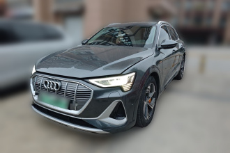 奥迪e-tron 2021款 50 quattro 臻选型