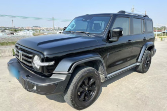 坦克300 2021款 城市版 2.0T 我看型