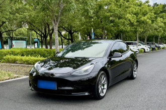 特斯拉 Model 3 2021款 标准续航后驱升级版 3D6