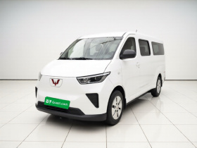 五菱汽车 五菱扬光 2024款 300km 舒适型客车版 75kW