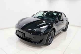 特斯拉 Model 3 2021款 标准续航后驱升级版 3D6