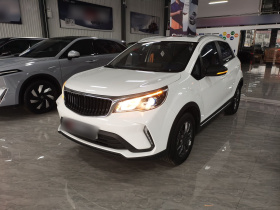 睿蓝汽车X3 PRO 2022款 1.5L CVT小飒