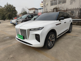 红旗E-HS9 2021款 460km 旗享版 六座