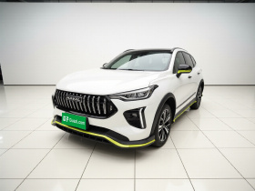 哈弗赤兔 2021款 激擎版 1.5T 黄金兔