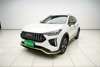 哈弗赤兔 2021款 激擎版 1.5T 黄金兔