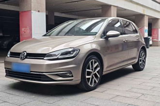 大众 高尔夫 2018款  230TSI 自动豪华型