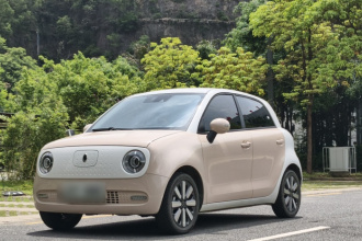 欧拉黑猫 2021款 351km 豪华型