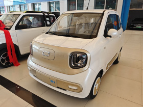 奔腾小马 2025款 222km 闪电马