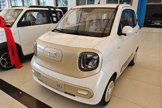 奔腾小马 2025款 222km 闪电马