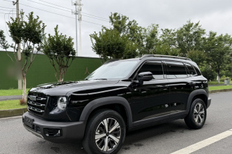 哈弗大狗 2022款 1.5T DCT两驱拉布拉多版