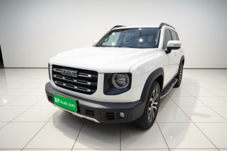 哈弗大狗 2021款 1.5T DCT两驱边牧版