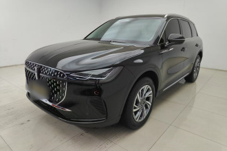 林肯 冒险家 2024款 2.0T 两驱尊享版