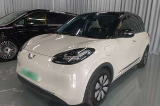 五菱汽车 五菱缤果 2023款 333km 灵犀互联+款