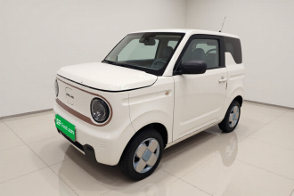 吉利银河 2024款 熊猫mini 200km 耐力熊