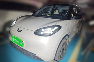 五菱汽车 五菱缤果 2024款 333km 灵犀互联款