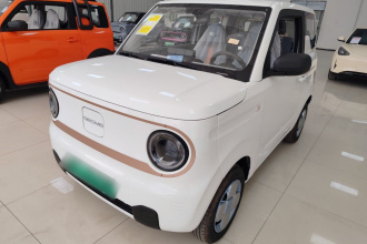 吉利银河 2024款 熊猫mini 200km 耐力熊