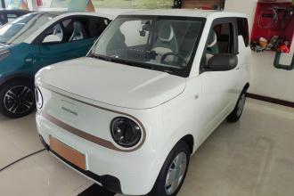 吉利银河 2024款 熊猫mini 200km 耐力熊
