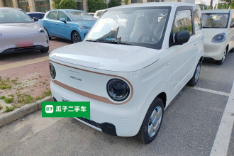 吉利银河 2024款 熊猫mini 200km 耐力熊