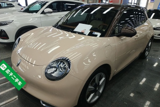 欧拉好猫 2021款 400km标准续航 维纳斯版 磷酸铁锂