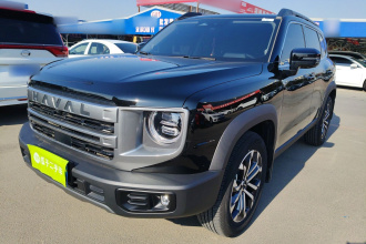 哈弗大狗 2024款 1.5T DCT边牧版