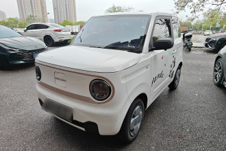吉利银河 2023款 熊猫mini 200km 耐力熊
