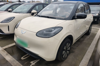 五菱汽车 五菱缤果 2025款 333km 悦享款