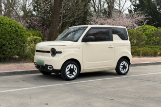 吉利银河 2025款 熊猫mini 210km 元气熊