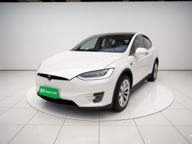 特斯拉 Model X 2020款 长续航升级版