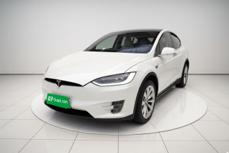 特斯拉 Model X 2020款 长续航升级版