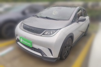 比亚迪 海豚 2021款 401km 骑士版