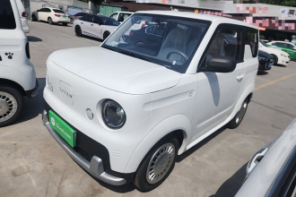 睿蓝汽车 睿蓝蓝气球 2025款 活力版